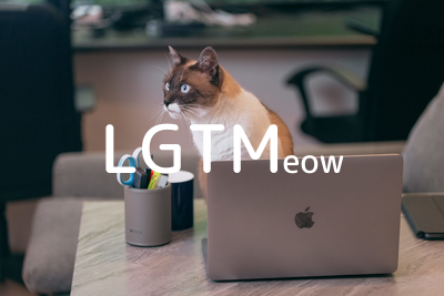 LGTMeow