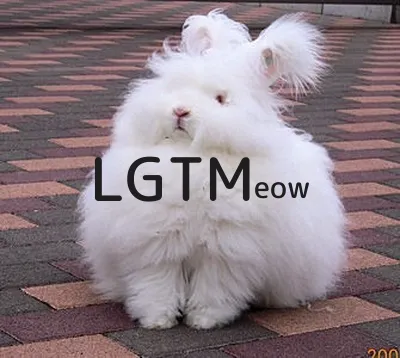 LGTMeow