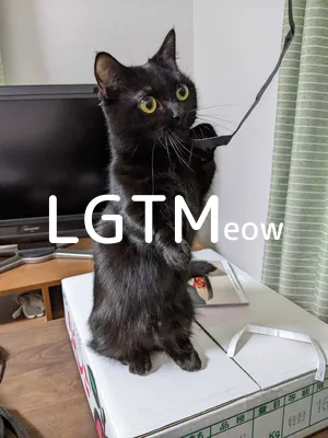 LGTMeow