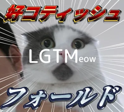 LGTMeow