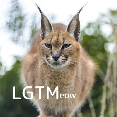 LGTMeow