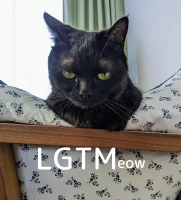 LGTMeow