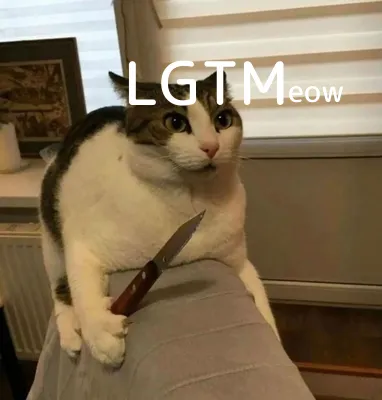 LGTMeow