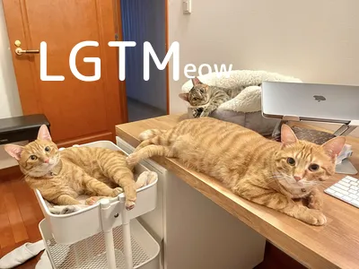 LGTMeow