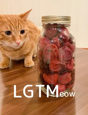 LGTMeow