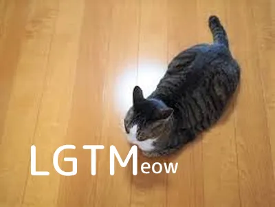 LGTMeow