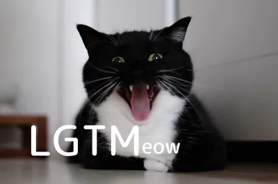 LGTMeow