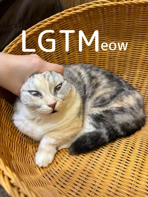 LGTMeow