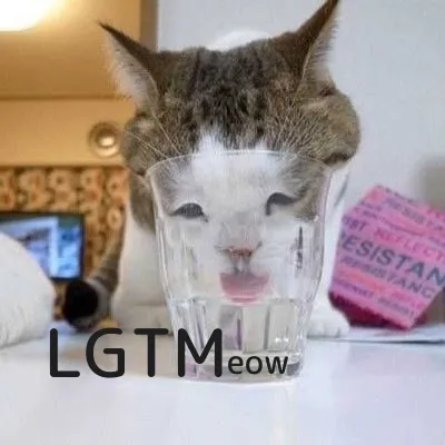 LGTMeow