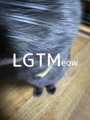 LGTMeow