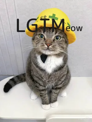 LGTMeow