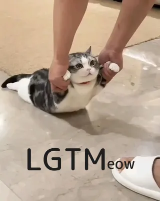 LGTMeow