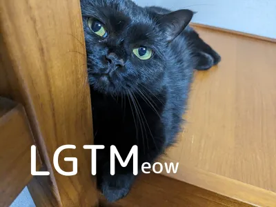 LGTMeow