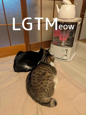 LGTMeow